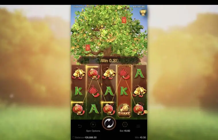 Ảnh bảng biểu tượng & tính năng game Tree of Fortune (slot LUCKY365) chơi tại LC79